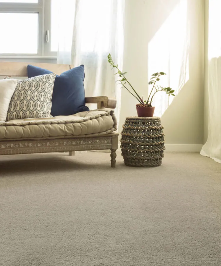 Carpet Flooring | Premiere Floor Covering