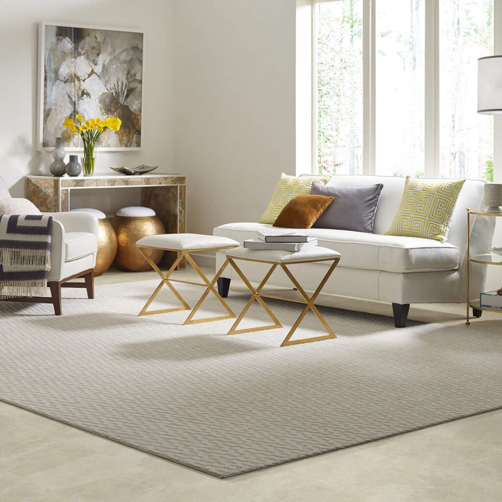 Area Rug | Premiere Floor Covering