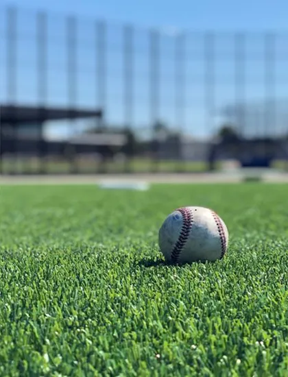 Artificial Turf | Premiere Floor Covering