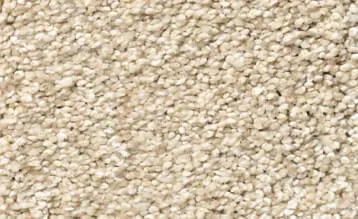 Carpet | Premiere Floor Covering
