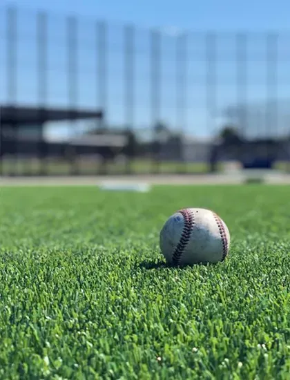 Sports-Field | Premiere Floor Covering