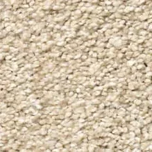 Carpet | Premiere Floor Covering